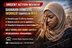 1_wM6COjSvBQdlwi4Lyj15Rg